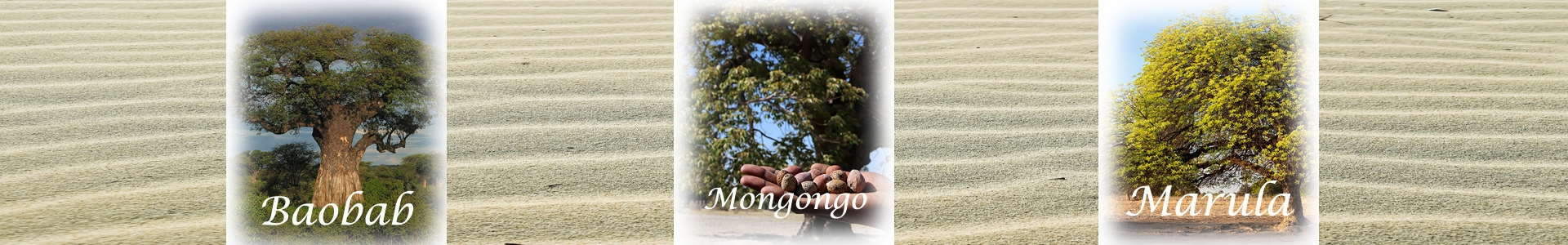 Marula - Baobab - Mongongo-Öl