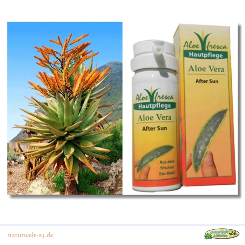 Aloe Vera After Sun / SI-11040 / Inhalt: 50 ml
