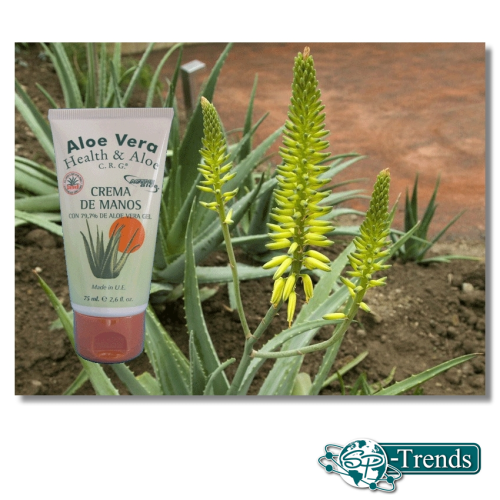 Aloe Vera Handcreme in Tube / 79,7% / 75 ml / RR-2001-T