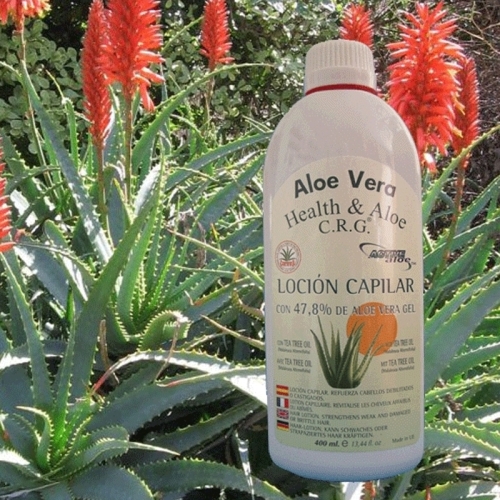 2009 / Aloe Vera Haar-Lotion / 47,8% / 400 ml